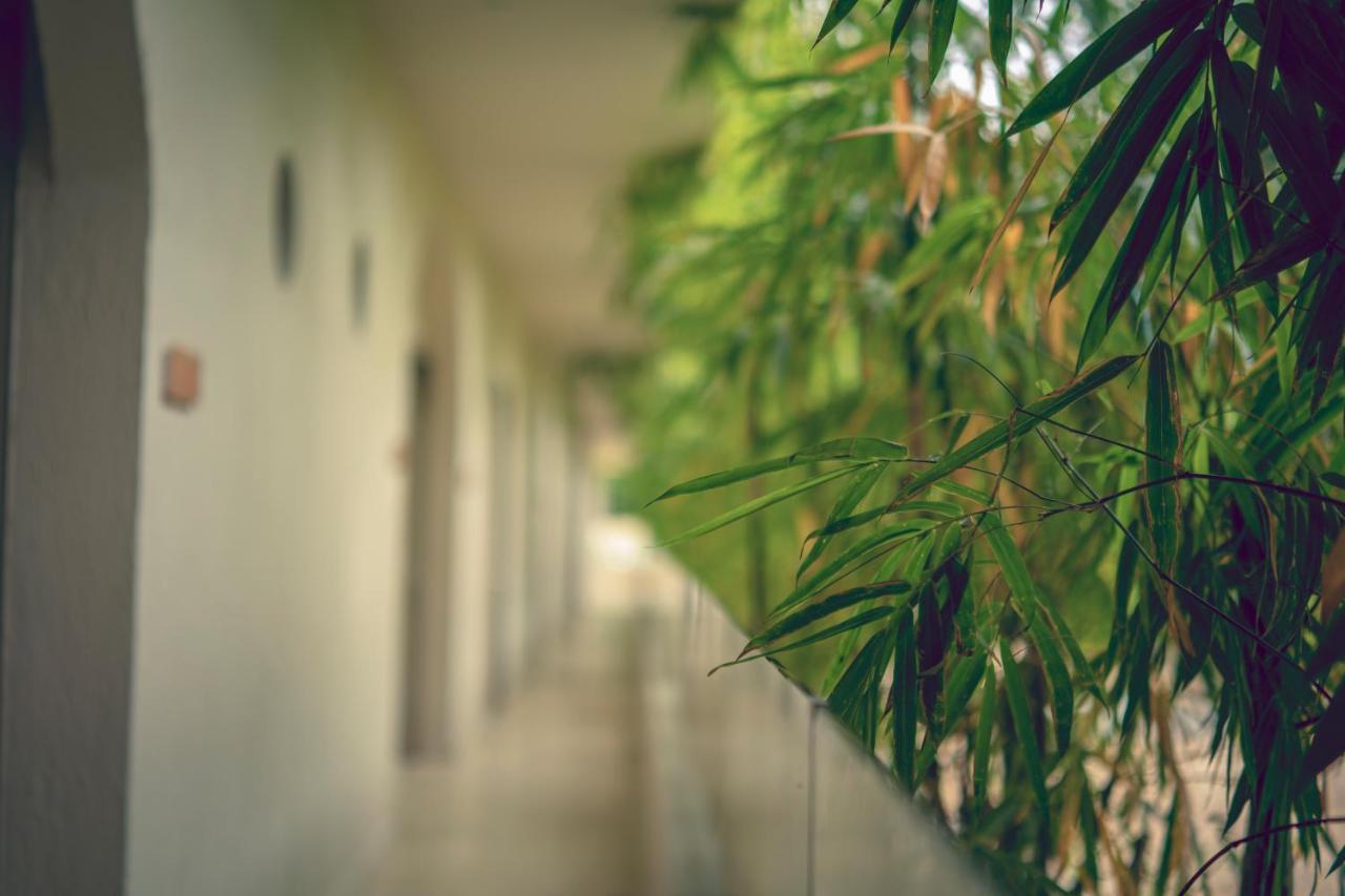Loa Tolu By Bernalo Hotels Exteriér fotografie